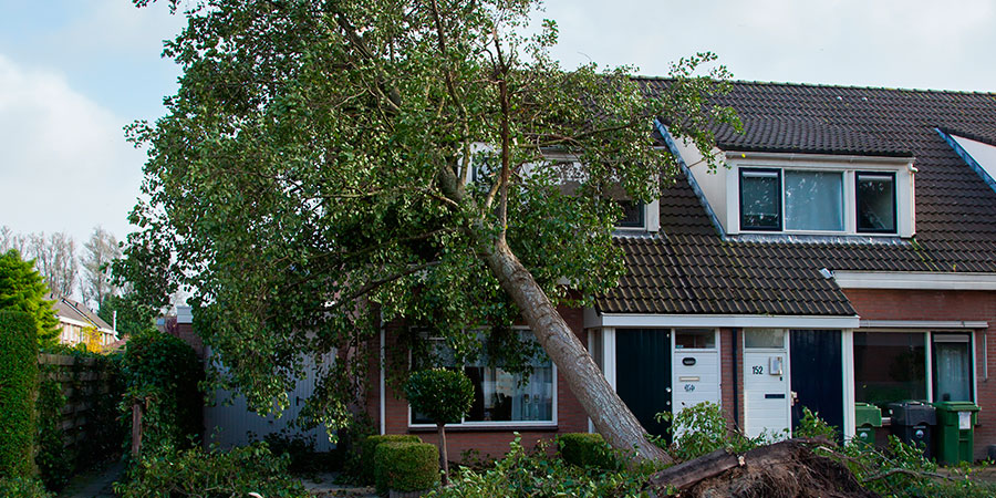 Roofing Contractor - Residential and Commercial