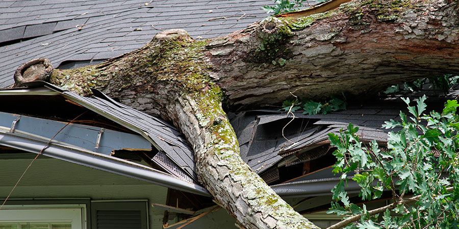 Roofing Contractor - Residential and Commercial