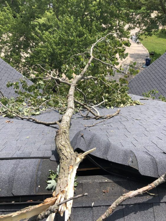 Tree-damage-roof